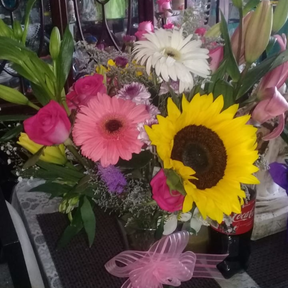 Meet your Posher, Nataly